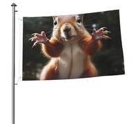 Bandiere 2 x 3 Ft Outdoor Double Sided Bandiera Benvenuto Yard Bandiere con occhielli in ottone Scoiattolo Divertente Bandiera Animale Decorazioni Yard Bandiera per Matrimonio Stagionale Vacanze
