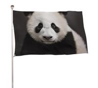 Bandiere 23,6 x 35,4 pollici Bandiera Esterna Banner Giardino Bandiere Decorazione Simpatico Bianco e Nero Panda Benvenuto Yard Bandiere 200D Poliestere Resistente Bandiere Grandi per Cortile di
