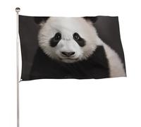 Bandiere 23,6 x 35,4 pollici Bandiera Esterna Banner Giardino Bandiere Decorazione Simpatico Bianco e Nero Panda Benvenuto Yard Bandiere 200D Poliestere Resistente Bandiere Grandi per Cortile di