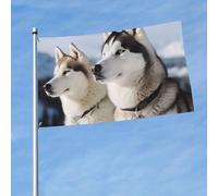 Bandiere 3 x 1,5 m bandiera esterna a doppia faccia bandiere di benvenuto da cortile con occhielli in ottone Husky cani bandiera decorazioni bandiera cortile per matrimoni vacanze stagionali bandiera