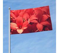 Bandiere 3 x 1,5 m bandiera esterna a doppia faccia bandiere di benvenuto da cortile con occhielli in ottone petali di fiori rossi decorazioni bandiera da cortile per matrimoni vacanze stagionali