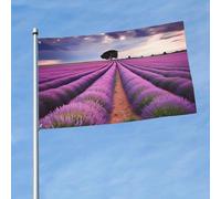 Bandiere 3 x 1,5 m bandiera esterna a doppia faccia bandiere di benvenuto da cortile con occhielli in ottone campi di lavanda decorazioni bandiera cortile bandiera per matrimoni vacanze stagionali