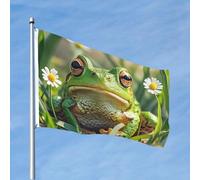 Bandiere 4 X 6 Ft Banner carino rana bandiera 200d pesante decorazione esterna bandiera benvenuto con occhielli in ottone bandiere da giardino per matrimoni tutte le stagioni