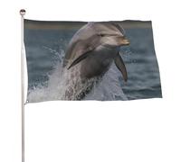 Bandiere 50 x 80 cm Bandiera Esterna Bandiera Giardino Banner Decorazione Bandiere Cool Delfino Benvenuto Yard Bandiere 200D Poliestere Resistente Bandiere Grandi per Cortile di Vacanza