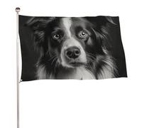 Bandiere 50 x 80 cm Bandiera Esterna Bandiera Giardino Banner Decorazione Bandiere Una Foto di Un Cane Benvenuto Cortile Bandiere 200D Poliestere Resistente Bandiere Grandi per Cortile di Vacanza