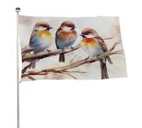 Bandiere 50 x 80 cm bandiera esterna bandiera giardino decorazione bandiere uccelli che riposano sul ramo di un albero bandiere da cortile di benvenuto bandiere in poliestere 200D bandiere grandi per