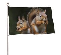 Bandiere 50 x 80 cm Bandiera Esterna Giardino Banner Decorazione Bandiere Scoiattolo Animale Benvenuto Yard Bandiere 200D Poliestere Resistente Bandiere Grandi Bandiere per Cortile di Vacanza