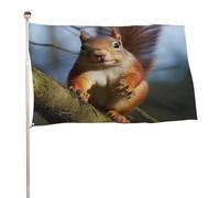 Bandiere 50 x 80 cm Bandiera Esterna Giardino Banner Decorazione Bandiere Scoiattolo Divertente Animale Benvenuto Yard Bandiere 200D Poliestere Resistente Bandiere Grandi Bandiere per Cortile di