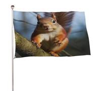 Bandiere 50 x 80 cm Bandiera Esterna Giardino Banner Decorazione Bandiere Scoiattolo Divertente Animale Benvenuto Yard Bandiere 200D Poliestere Resistente Bandiere Grandi Bandiere per Cortile di