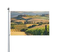 Bandiere 90 x 152 cm 200D Heavy Banner Decorazione Bandiera Esterna Bandiera Italia Toscana Bandiere di benvenuto Cortile con occhielli in ottone Bandiera da giardino per tutte le stagioni Decorazione