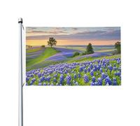 Bandiere 90 x 152 cm 200D Heavy Banner Decorazione Bandiera Texas Bluebonnets Paesaggio Bandiera Benvenuto Yard Bandiere con occhielli in ottone Bandiera da giardino per tutte le stagioni Decorazione