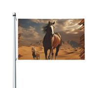 Bandiere 90 x 152 cm 200D Heavy Banner Decorazione Outdoor Bandiera Cavallo nel deserto Bandiera Benvenuto Yard Bandiere con occhielli in ottone Bandiera da giardino per tutte le stagioni Decorazione