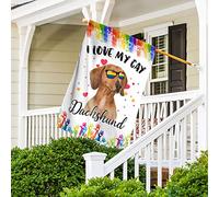 Bandiere All'Aperto Divertente Bandiere Pirati Durevole Bandiera Da Cortile Decorazione Per Patio Interni Esterni Bassotto Con Occhiali Da Sole Arcobaleno Lgbt, Cane Bassotto Che Amo Il Mio Gay S