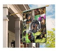 Bandiere All'Aperto Doppio Lato Bandiera Da Cortile Divertente Bandiera Da Giardino Decorazione Per Camera Da Letto Interni Cortile Bassotto Nero Focato Sdraiato Sull'Erba, Cane Da Compagnia S