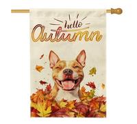 Bandiere autunnali per la casa del cane Pitbull, 71 x 101 cm, double face, per esterni, divertente bandiera autunnale con foglie d'acero, cuccioli, tela verticale, bandiera per la casa, strana