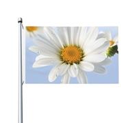 Bandiere bianche a margherita per esterni, 9 x 1,5 m, bandiera stagionale da giardino con occhielli bandiera esterna per decorazioni per la casa sfondo fotografico