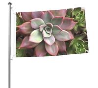 Bandiere botaniche succulente per esterni, 6 x 0,9 m, bandiera stagionale da giardino con occhielli bandiera esterna per decorazioni per la casa sfondo fotografico