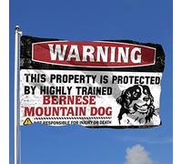 Bandiere carine per ragazze adolescenti avviso camera Questa proprietà è protetta da un cane da montagna bernese altamente addestrato bandiera uomini roba cool bandiere camera ragazzi (120 x 180 cm)
