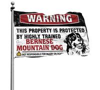 Bandiere carine per ragazze adolescenti avviso camera Questa proprietà è protetta da un cane da montagna bernese altamente addestrato bandiera uomini roba cool bandiere camera ragazzi (30 x 45 cm)