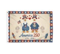 Bandiere con anatre per esterni, stelle festive patriottiche, fuochi d'artificio, giorno dell'indipendenza, bandiere decorative rosse per esterni, con occhiello, decorazione per portico anteriore