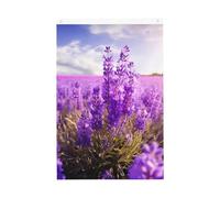 Bandiere con fiori di lavanda per esterni, 7,6 x 0,9 m, stampa verticale su entrambi i lati, bandiere da giardino per esterni, striscione con occhielli, bandiera per casa, cortile, per prato, portico