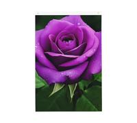 Bandiere con fiori di rosa viola per esterni, 0,6 x 0,9 m, stampa verticale su entrambi i lati, bandiere da giardino per esterni, striscione per vacanze, con occhielli, bandiera per casa, cortile, per