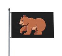 Bandiere Cool Bear per esterni, 3x5 piedi, in poliestere resistente, bifacciali, per decorazioni da giardino, per casa, cortile, festival, bandiere di benvenuto