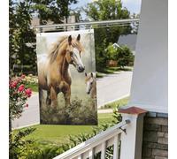 Bandiere da 2 x 3 m bandiera da cortile su entrambi i lati banner esterno/interno bandiere brezza animali dipinti ricami cavalli benvenuto banner cortile per giardino casa vacanza decorazione casa