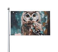 Bandiere da 3 x 1,5 m a doppia faccia bandiera da cortile esterno/interno bandiera brezza animale gufo carino benvenuto banner da cortile per giardino casa vacanza decorazione casa bandiera giardino