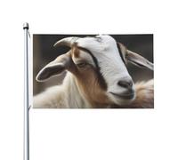 Bandiere da 3 x 1,5 m a doppia faccia bandiera da cortile esterno/interno bandiera brezza animali capra benvenuto banner cortile per giardino casa vacanza decorazione casa bandiera giardino