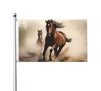 Bandiere da 3 x 1,5 m a doppia faccia bandiera da cortile esterno/interno bandiera brezza animali corsa cavallo banner da cortile di benvenuto per giardino casa vacanza decorazione casa bandiera