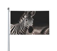 Bandiere da 3 x 1,5 m a doppia faccia bandiera da cortile esterno/interno bandiera brezza animali selvatici zebra benvenuto banner cortile per giardino casa vacanza decorazione casa bandiera giardino