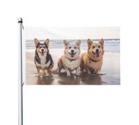 Bandiere da 3 x 1,5 m a doppia faccia bandiera da cortile esterno/interno bandiera brezza cani felici spiaggia benvenuto banner per giardino casa vacanza decorazione casa bandiera giardino