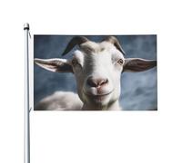 Bandiere da 3 x 1,5 m a doppia faccia bandiera da cortile esterno/interno bandiera brezza capra benvenuto banner da cortile per giardino casa vacanza decorazione casa bandiera giardino