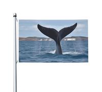 Bandiere da 3 x 1,5 m a doppia faccia bandiera da cortile esterno/interno bandiera brezza coda di balena banner da cortile di benvenuto per giardino casa vacanza decorazione casa bandiera giardino