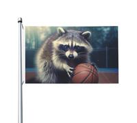 Bandiere da 3 x 1,5 m a doppia faccia bandiera da cortile esterno/interno bandiera brezza divertente procione basket benvenuto banner per giardino casa vacanza decorazione casa bandiera giardino