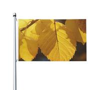Bandiere da 3 x 1,5 m a doppia faccia bandiera da cortile esterno/interno bandiera brezza foglie gialle banner da cortile di benvenuto per giardino casa vacanza decorazione casa bandiera giardino