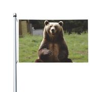 Bandiere da 3 x 1,5 m a doppia faccia bandiera da cortile esterno/interno bandiera brezza Hi Bear Sedersi sul prato Banner di benvenuto per giardino casa vacanza decorazione casa bandiera giardino