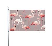 Bandiere da 3 x 1,5 m a doppia faccia bandiera da cortile esterno/interno bandiera brezza rosa motivo fenicottero benvenuto banner da cortile per giardino casa vacanza decorazione casa bandiera