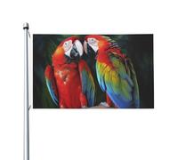 Bandiere da 3 x 1,5 m bandiera da cortile a doppia faccia per esterni/interni bandiera brezza due pappagalli colorati banner da cortile di benvenuto per giardino casa vacanza decorazione casa bandiera