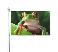 Bandiere da 3 x 5 Ft bandiera a doppia faccia bandiera da cortile esterno/interno bandiera brezza carina rana benvenuto banner da cortile per giardino casa vacanza decorazione casa bandiera giardino