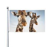 Bandiere da 3 x 5 Ft bandiera da cortile a doppia faccia Banner esterno/interno Brezza Bandiera Colli di giraffa Benvenuto Yard Banner per giardino Casa Vacanze Decorazione Casa Bandiera da giardino