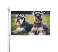 Bandiere da 3 x 5 Ft bandiera da cortile a doppia faccia Banner esterno/interno Brezza Bandiera per adulti Schnauzer Cani Benvenuto Yard Banner per giardino Casa Vacanze Decorazione della casa