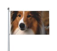 Bandiere da 3 x 5 Ft bandiera da cortile a doppia faccia Banner esterno/interno Brezza Bandiera Shetland Sheepdog Benvenuto Yard Banner per giardino Casa Vacanze Decorazione Casa Bandiera da giardino