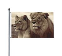 Bandiere da 3 x 5 m bandiera da cortile a doppia faccia bandiera esterno/interna Brezza bandiera leone africano e leonessa banner da cortile di benvenuto per giardino casa vacanza decorazione casa