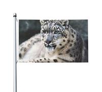 Bandiere da 3 x 5 m bandiera da cortile a doppia faccia banner esterno/interno Brezza bandiera leopardo delle nevi banner da cortile di benvenuto per giardino casa vacanza decorazione casa bandiera