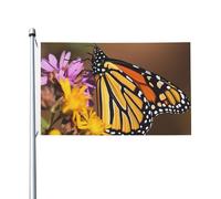 Bandiere da 3 x 5 m bandiera da cortile a doppia faccia banner esterno/interno Brezza bandiera monarca farfalla benvenuto banner da cortile per giardino casa vacanza decorazione casa bandiera giardino