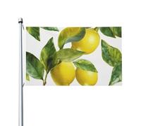 Bandiere da 3 x 5 m bandiera da cortile a doppia faccia banner esterno/interno Brezza bandiera ramo di limone foglie banner da cortile di benvenuto per giardino casa vacanza decorazione casa bandiera