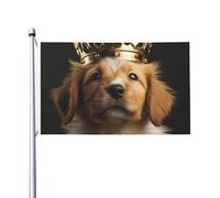 Bandiere da 3 x 5 m bandiera da cortile a doppia faccia per esterni/interni bandiera brezza cucciolo con una corona banner da cortile di benvenuto per giardino casa vacanza decorazione casa bandiera