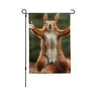 Bandiere da giardino 71 x 101 cm verticale su entrambi i lati bandiera da cortile scoiattolo divertente animale bandiera giardino estate fattoria bandiere di benvenuto per decorazioni esterne cortile